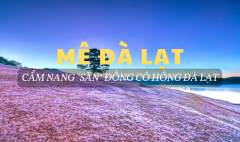 MÊ ĐÀ LẠT