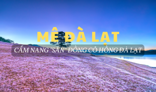 MÊ ĐÀ LẠT